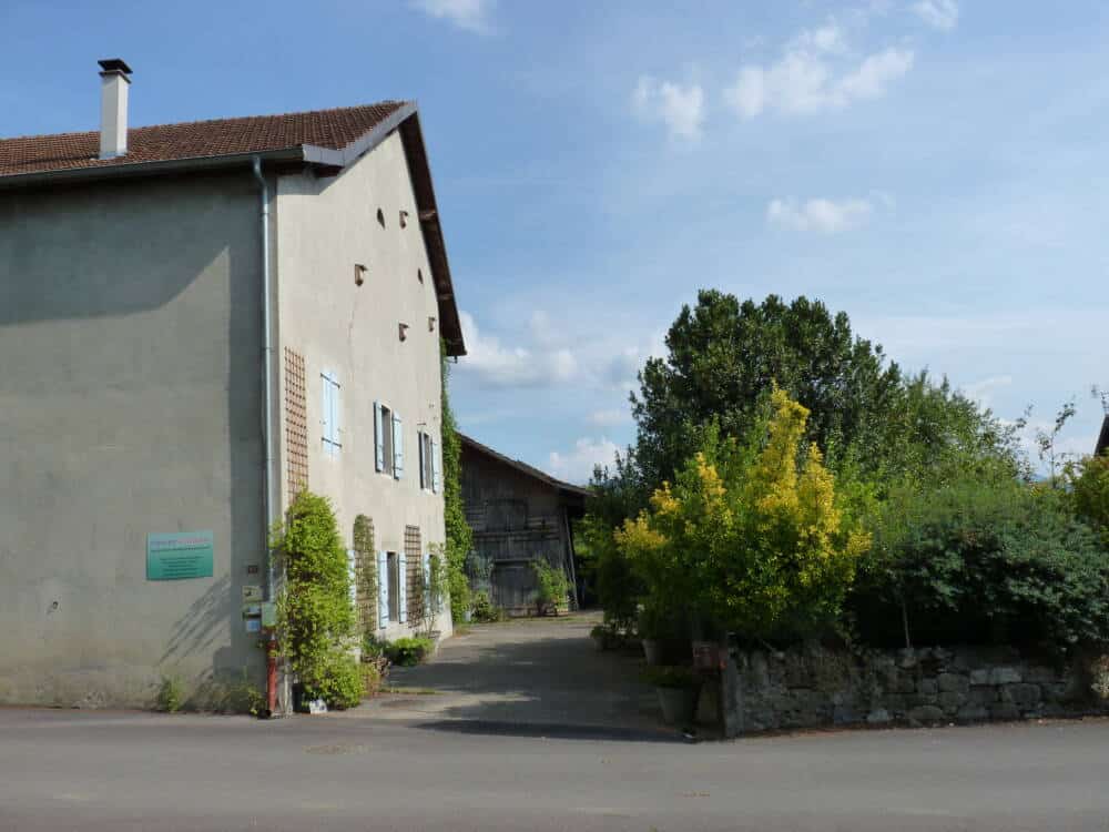 Entree cour maison - COM' les Pros